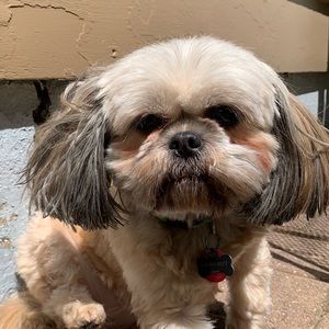 Meet your Posher, Andrew